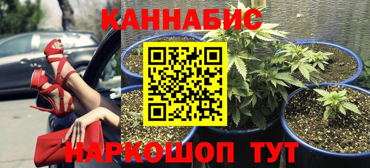 Каннабис THC 21%  МАРИХУАНА тримм  Бошки марихуана MAZAR  Егорьевск  Вход с VPN 